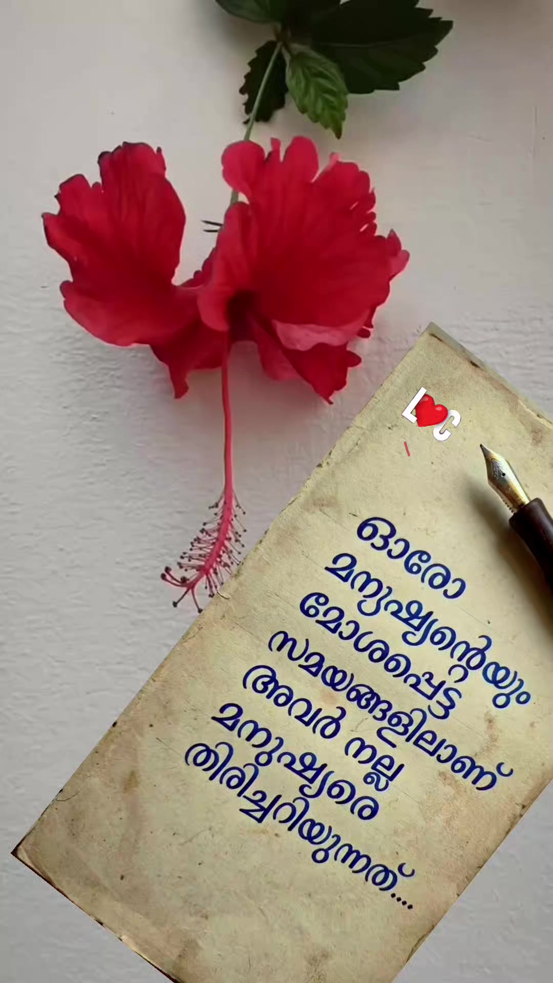 @✨❤️𝗦𝗜𝗗𝗛𝗨❤️✨