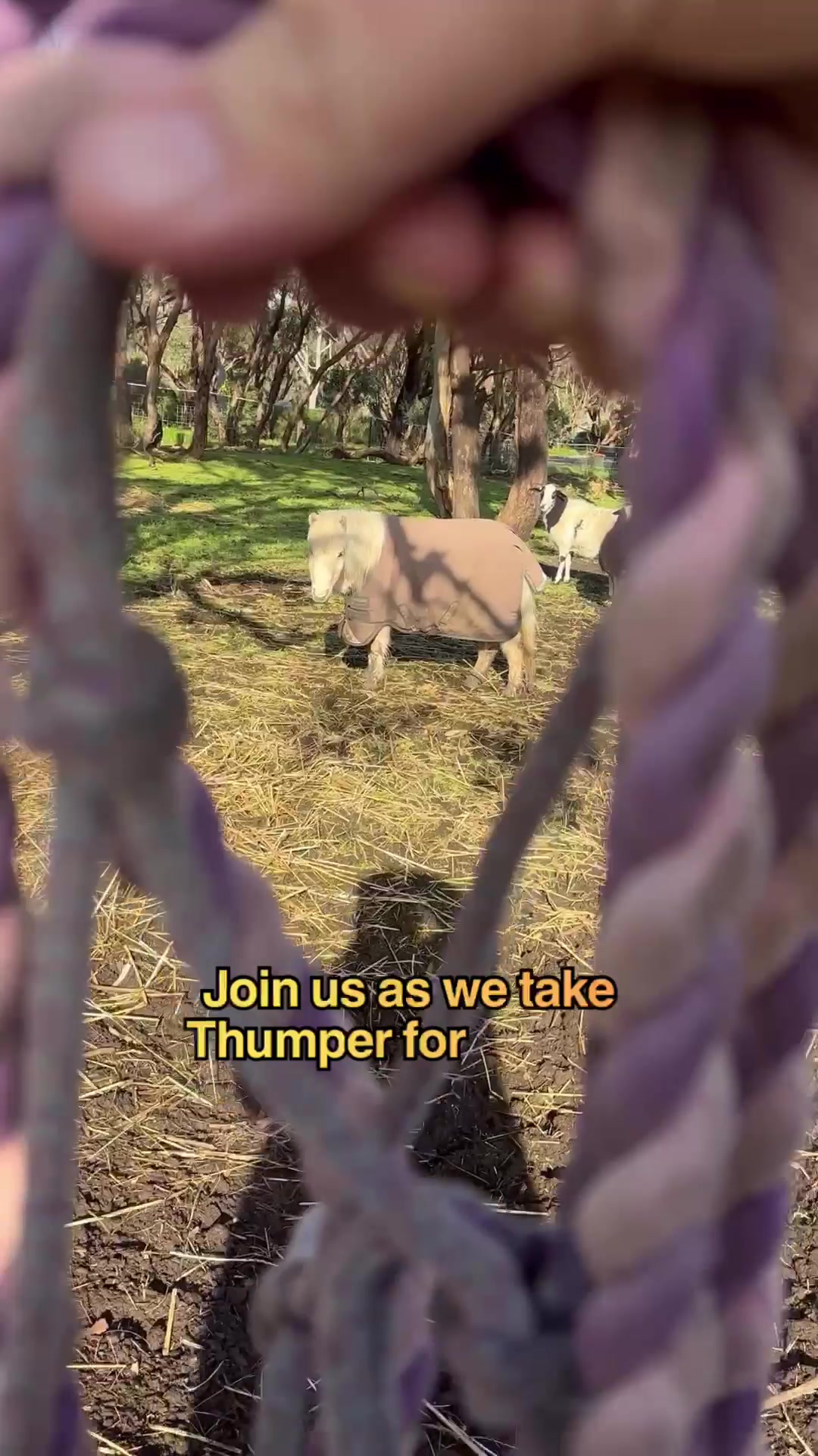 @WildOneAustralia