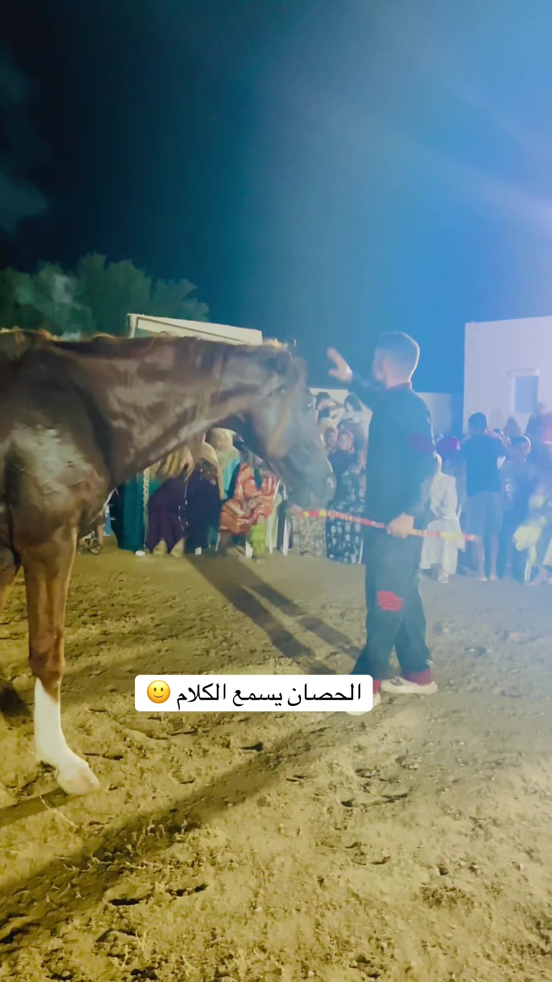 @Reyad 7m