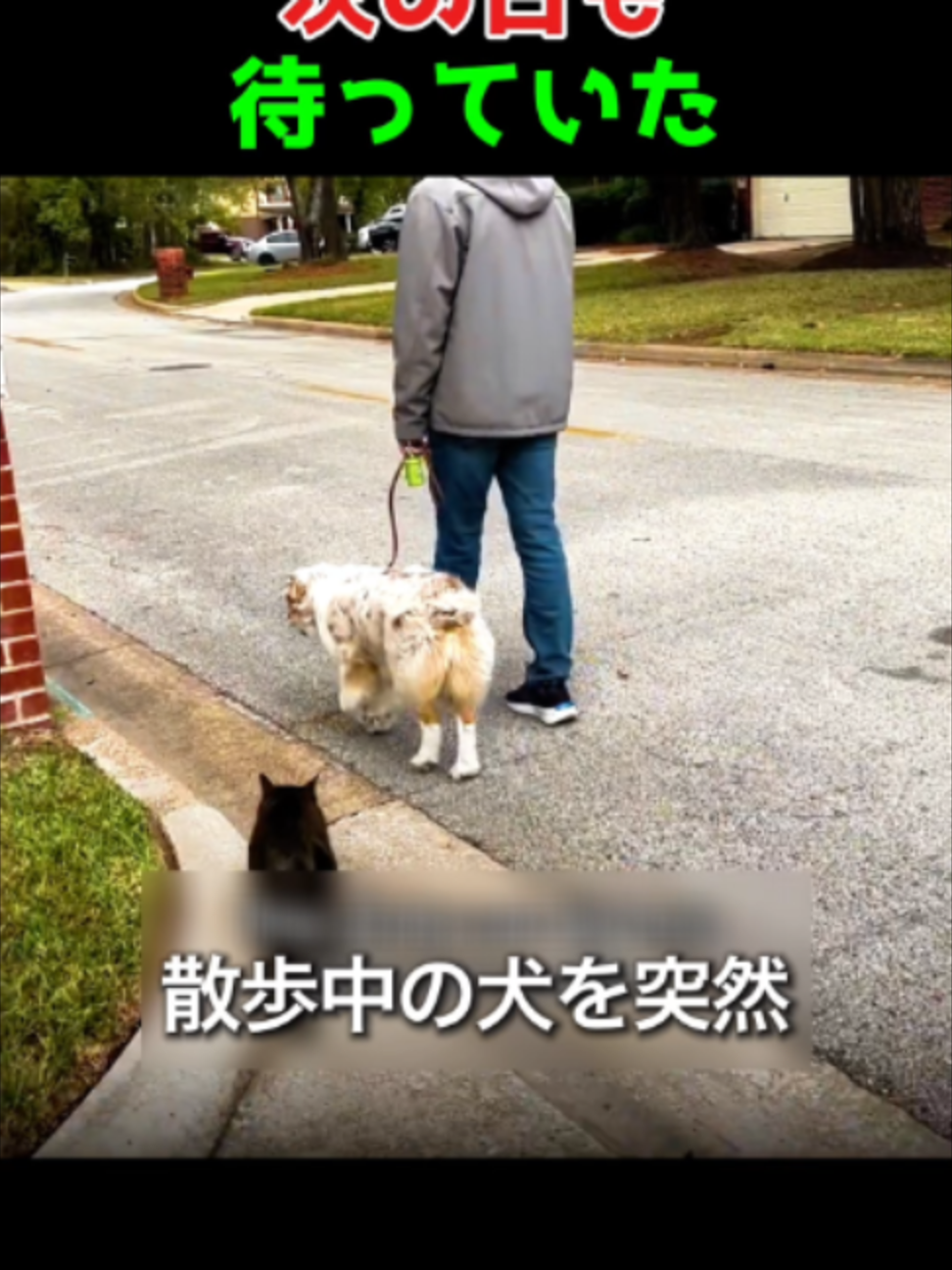 @海外ざんまい
