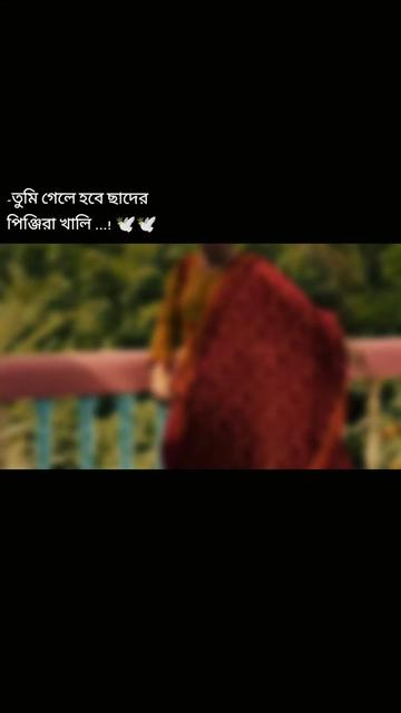 @SUMIđ