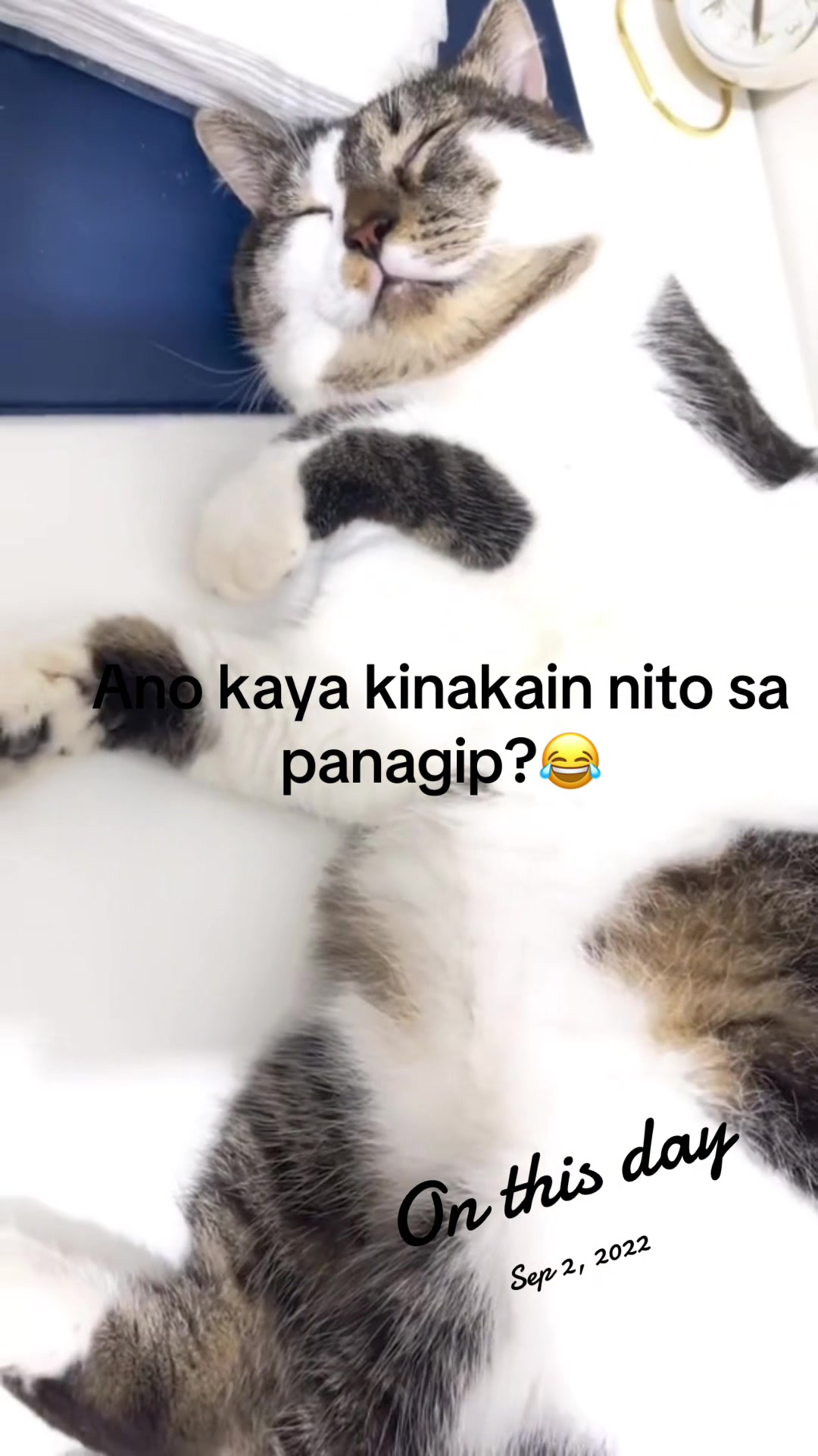 @Kevz
