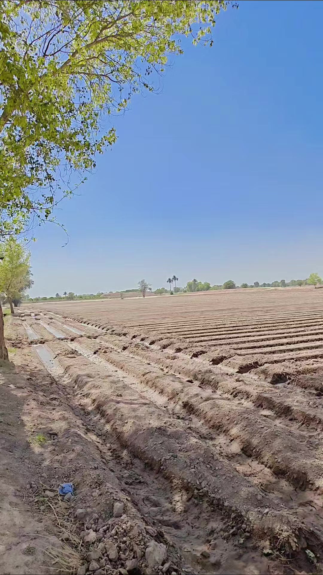@Zulqarnain Abbasi
