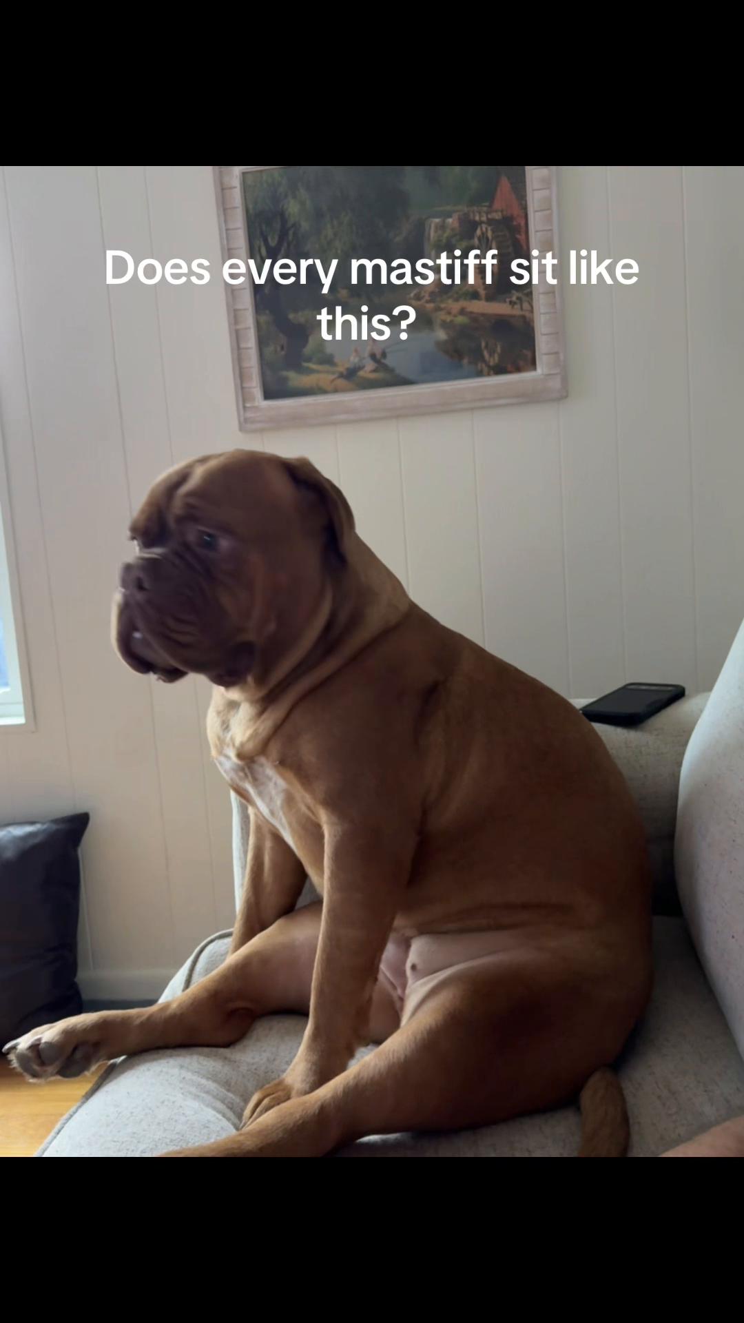 @MovingMamaMayfield