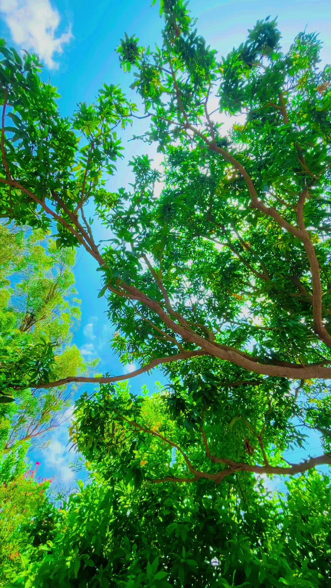 @Rita kasaudhan🌿🌿🌿