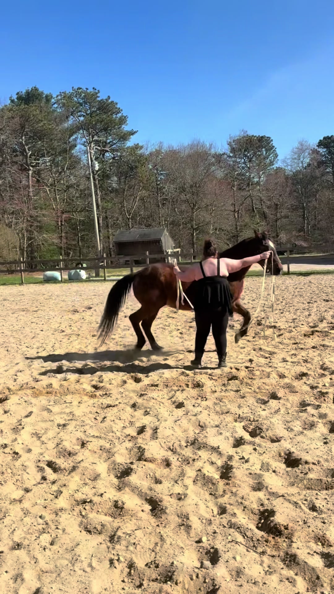 @horseshowqueen89
