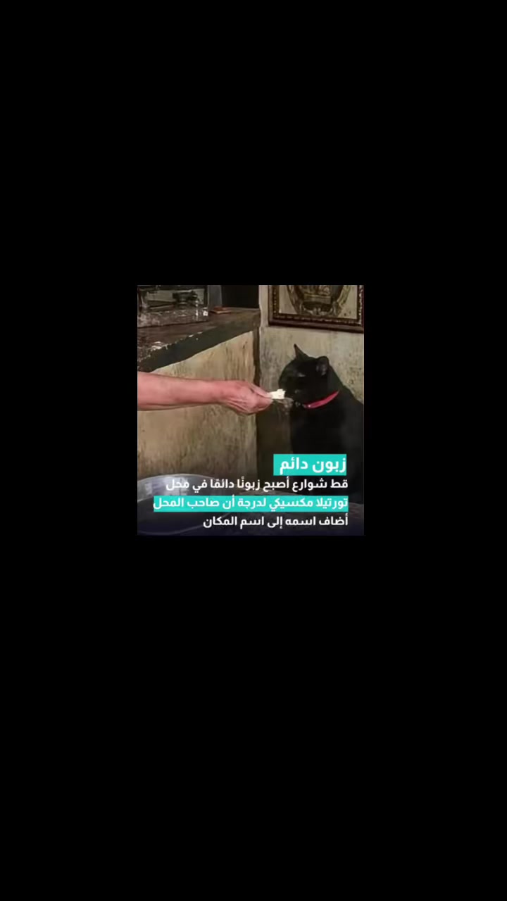 @Doaa