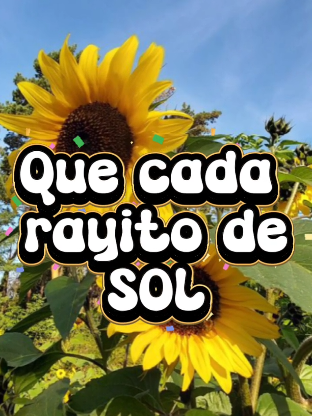 @Arely Mendoza Frases bonitas