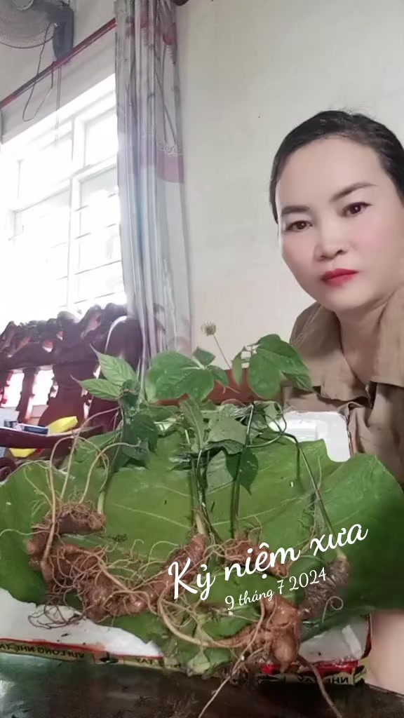 @Cô Gái Tây Nguyên#