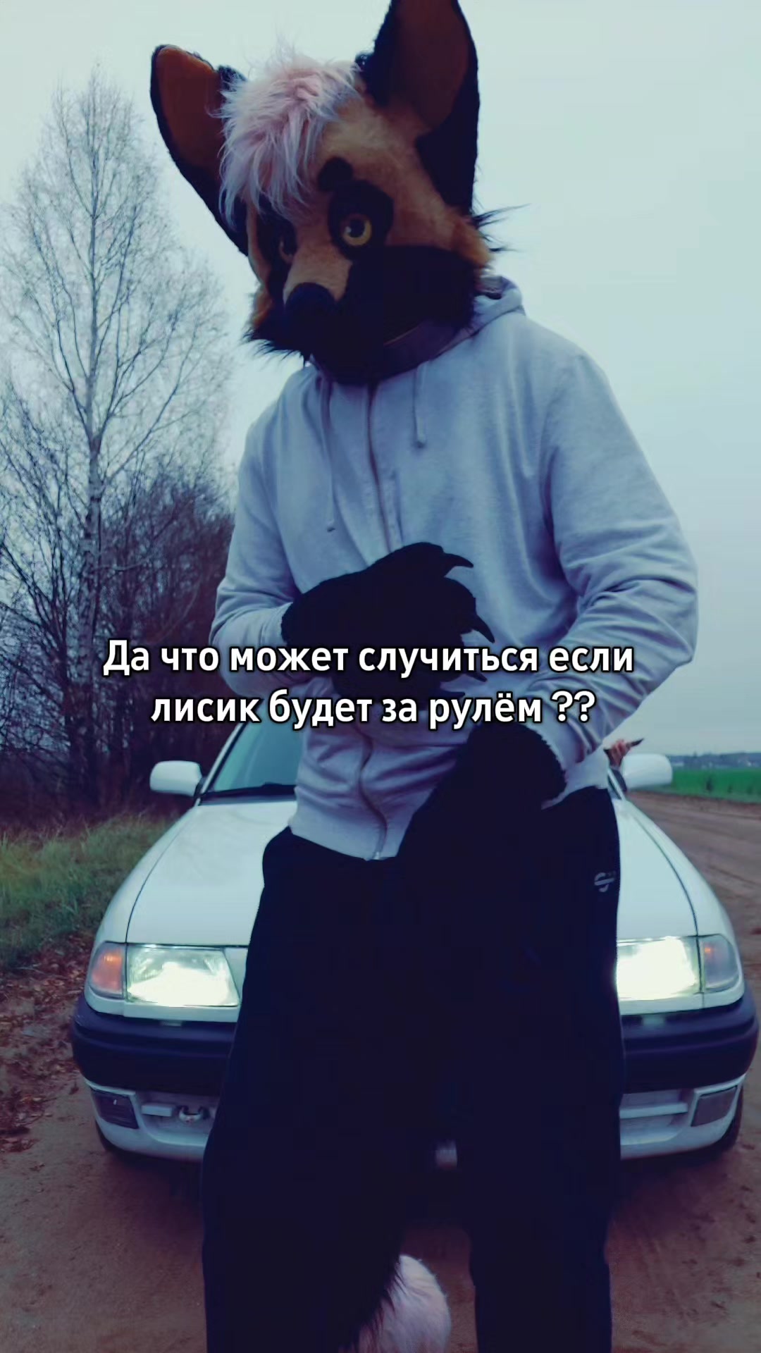 @RUSTY#WingedFox