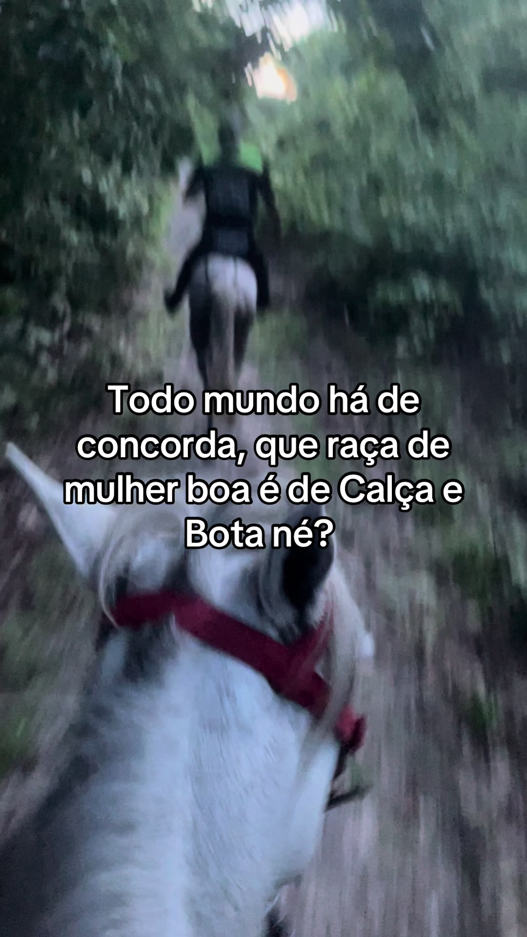 @nega