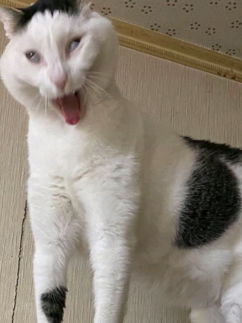 @꧁༺ƈɦʟօʀɨռɛ ƈǟʀɮօռǟȶɛ༻꧂