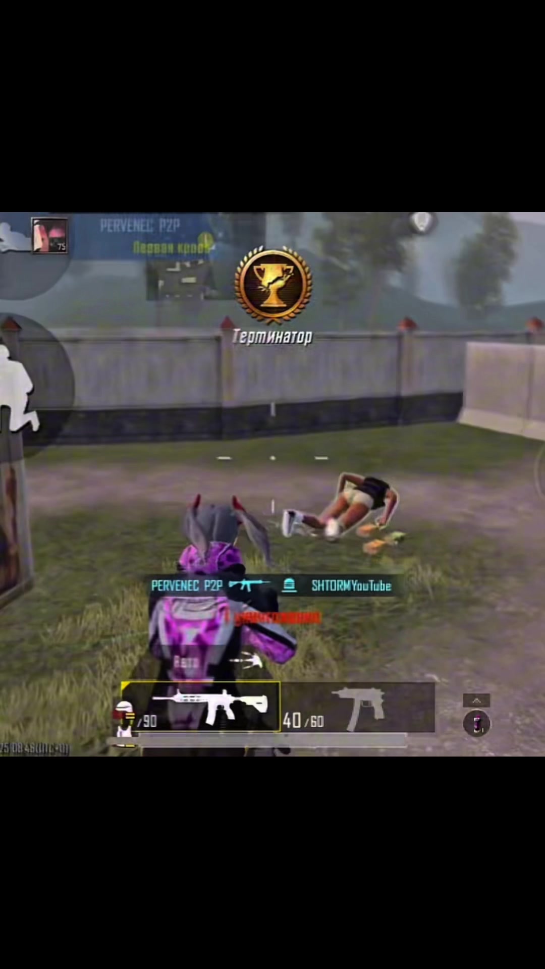 @pervenecp2p