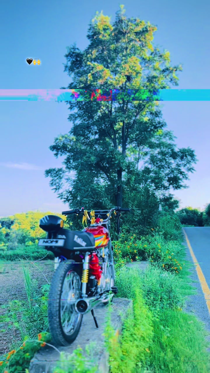 @Faنi Raجa⚡ 🇵🇰