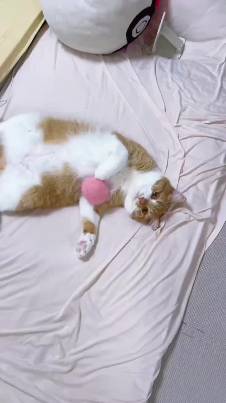 @マロン