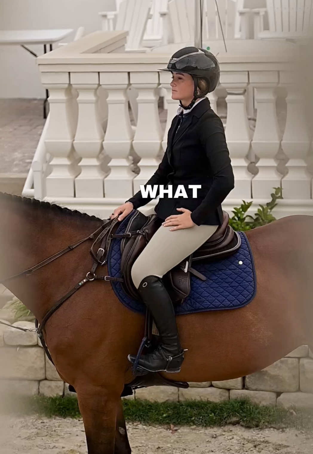 @Free Ride Equestrian