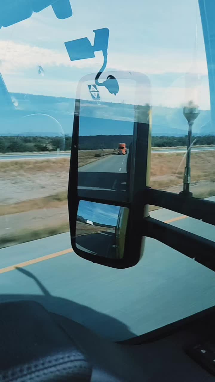 @perrito de ataque