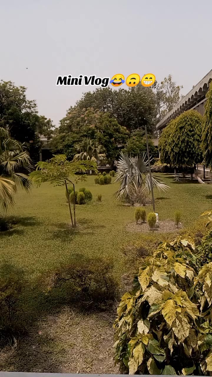 @Ammara ✨