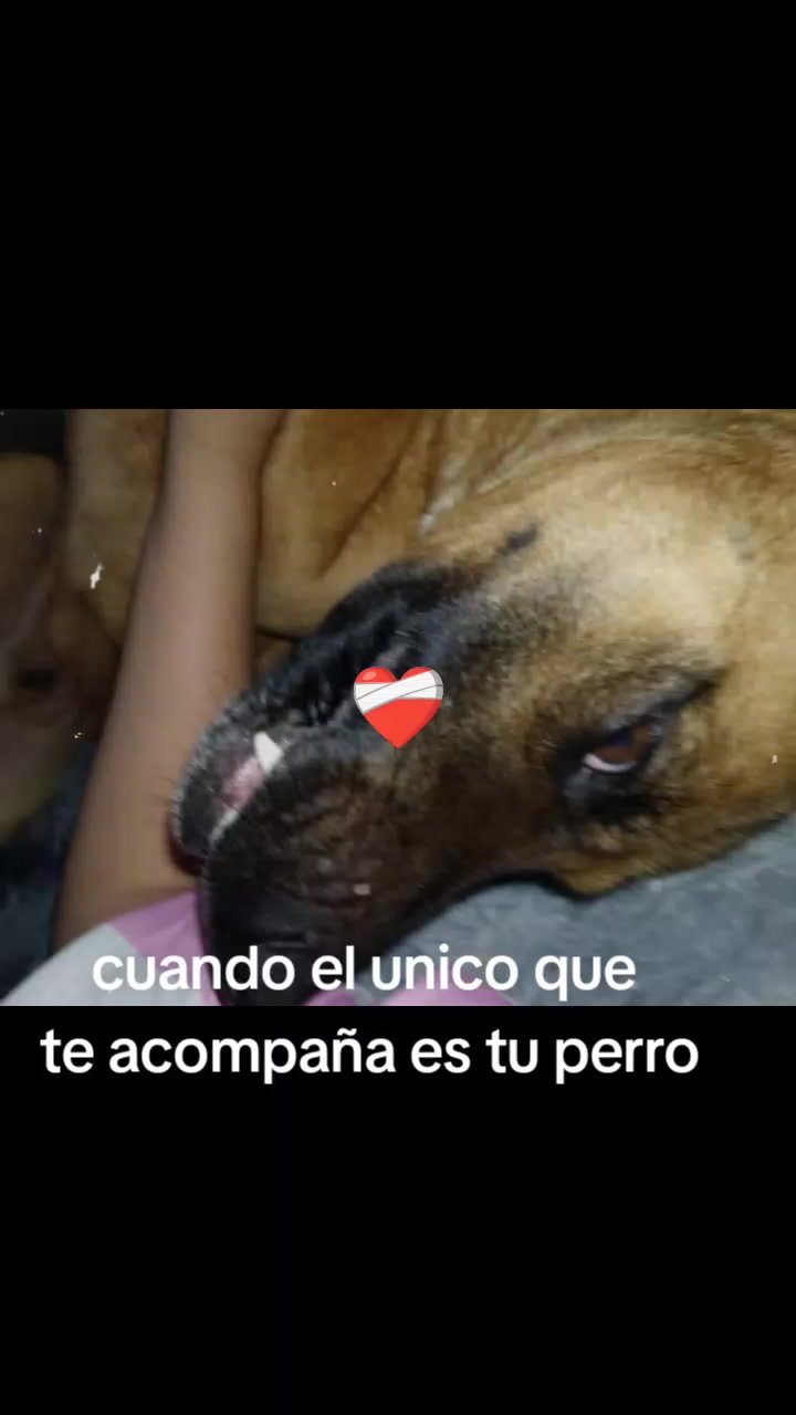 @luana fernandez