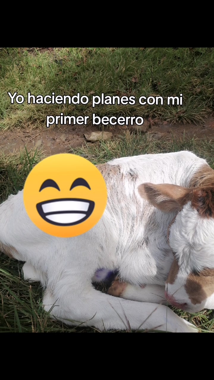 @cata gomez
