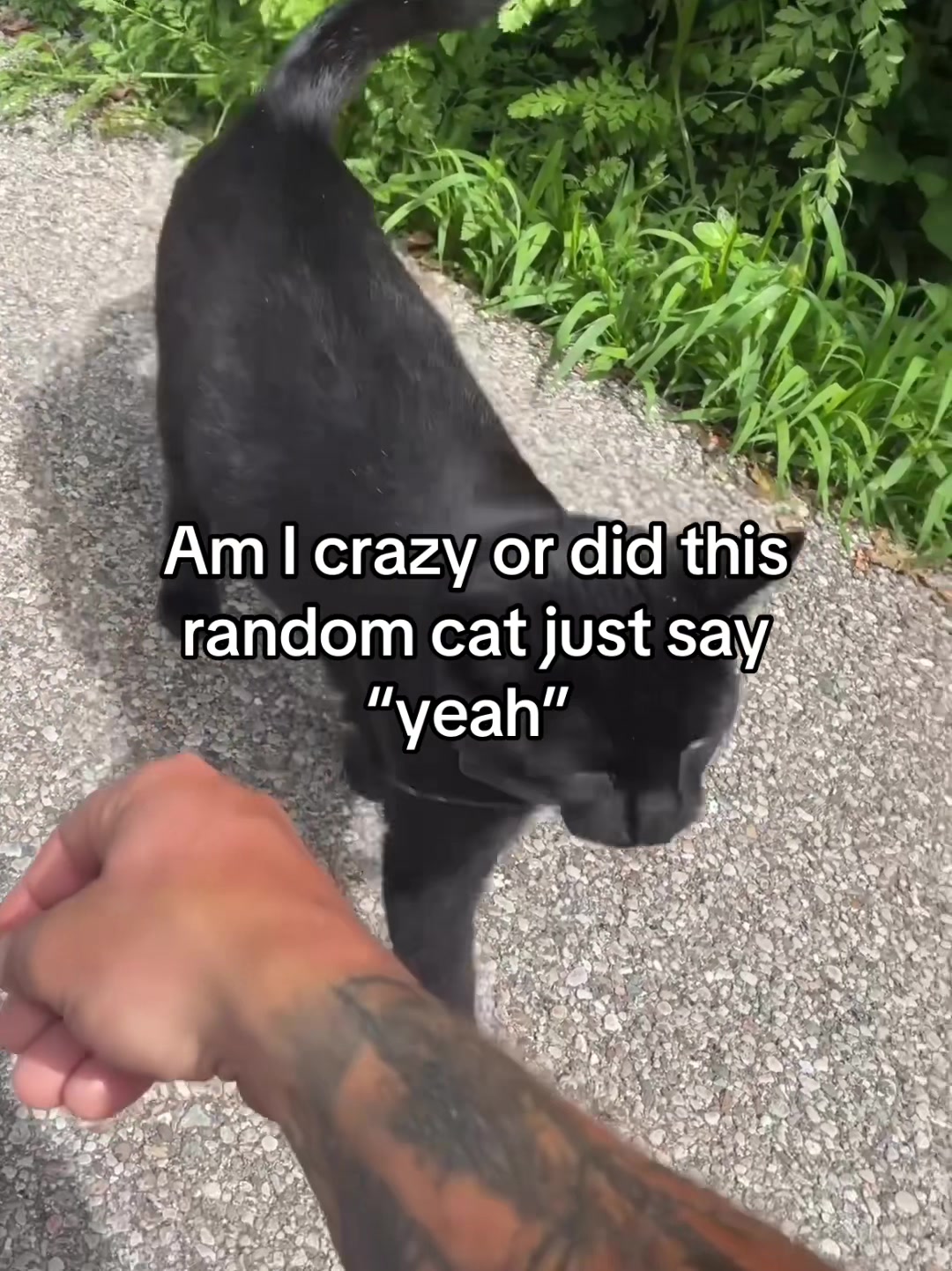 @Aaron.