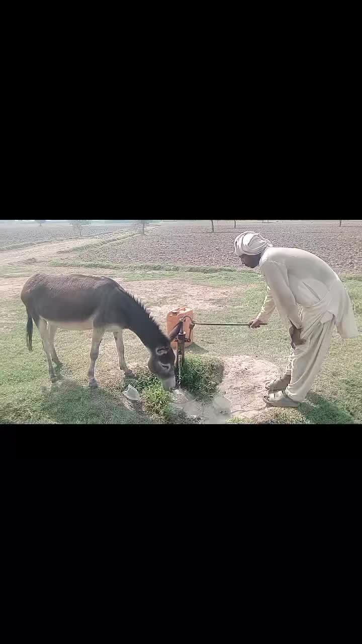@salmanbrand33