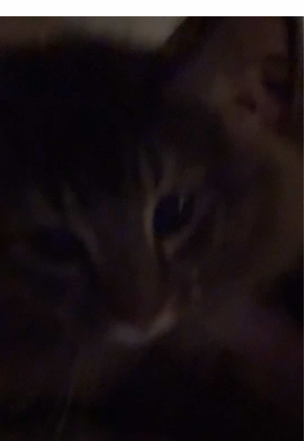 @mhm.yuplol