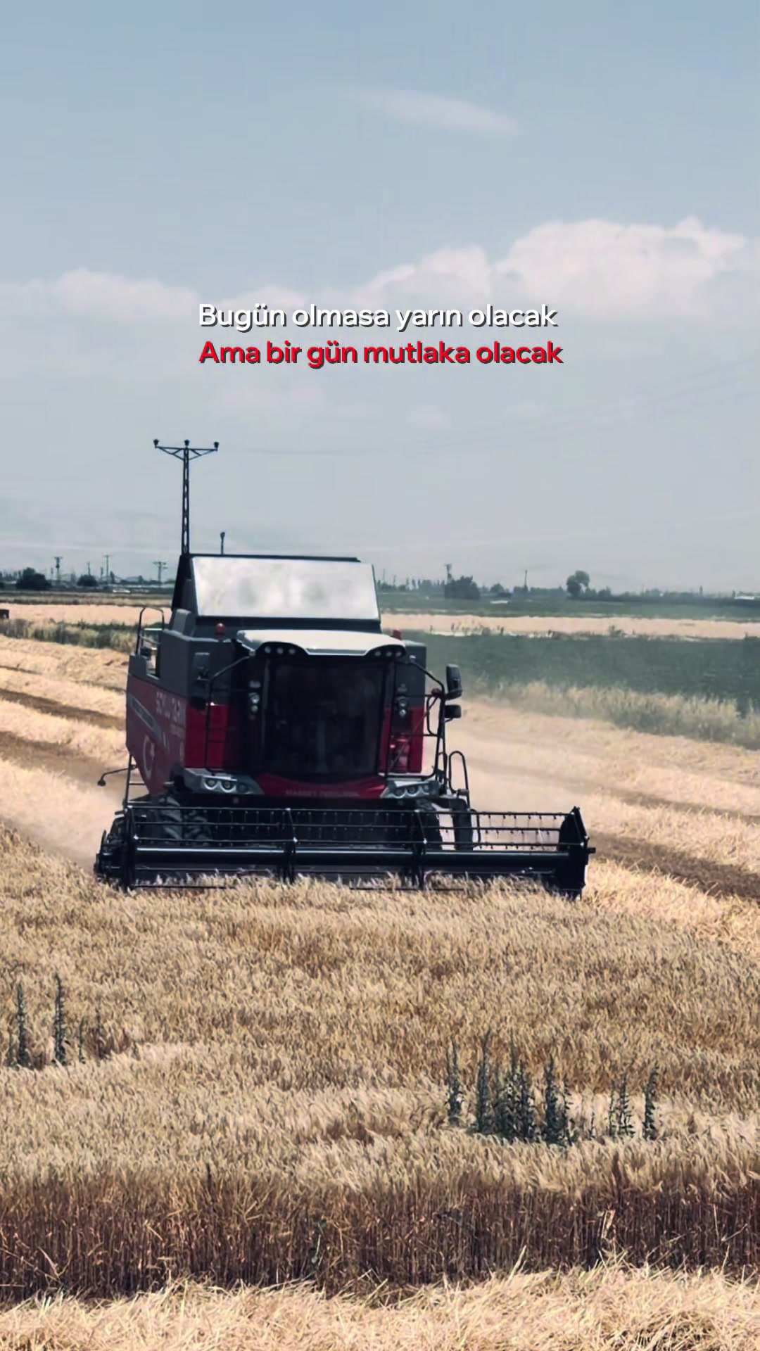 @Mustafa soylu