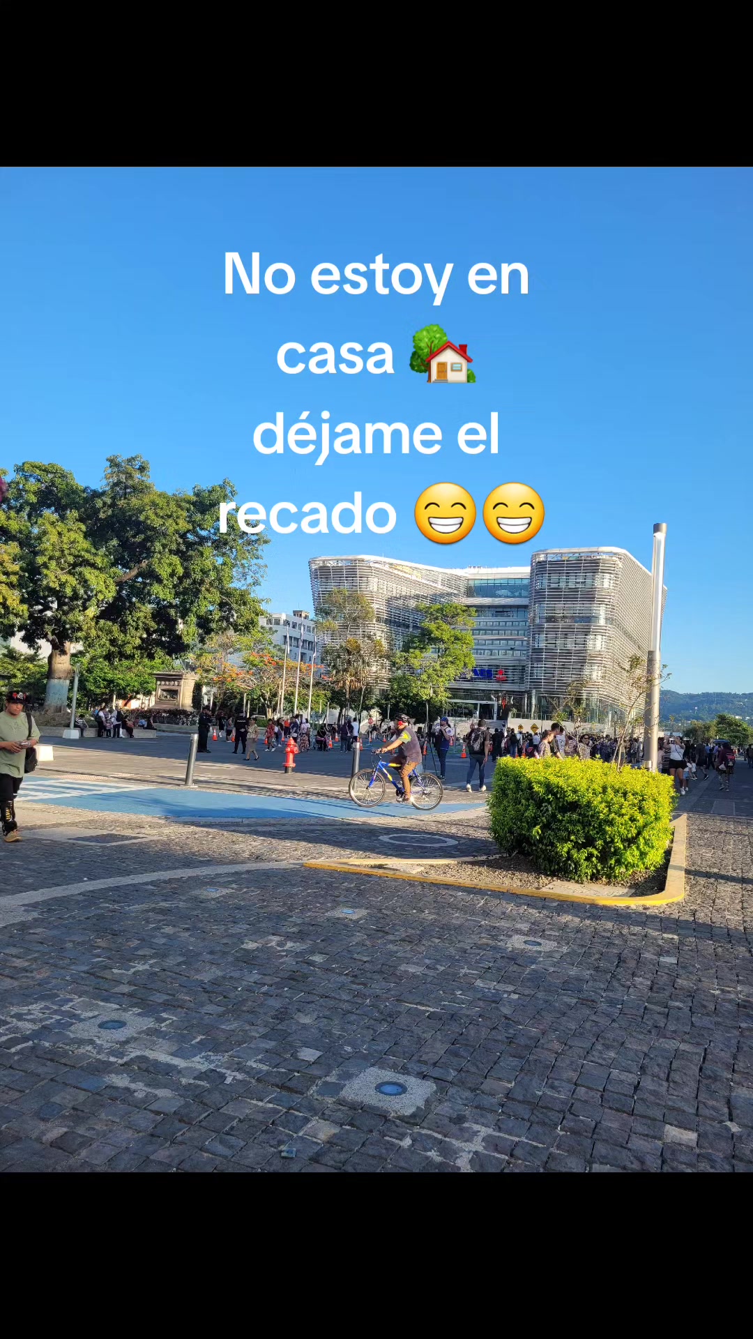 @Carmen Alvarado