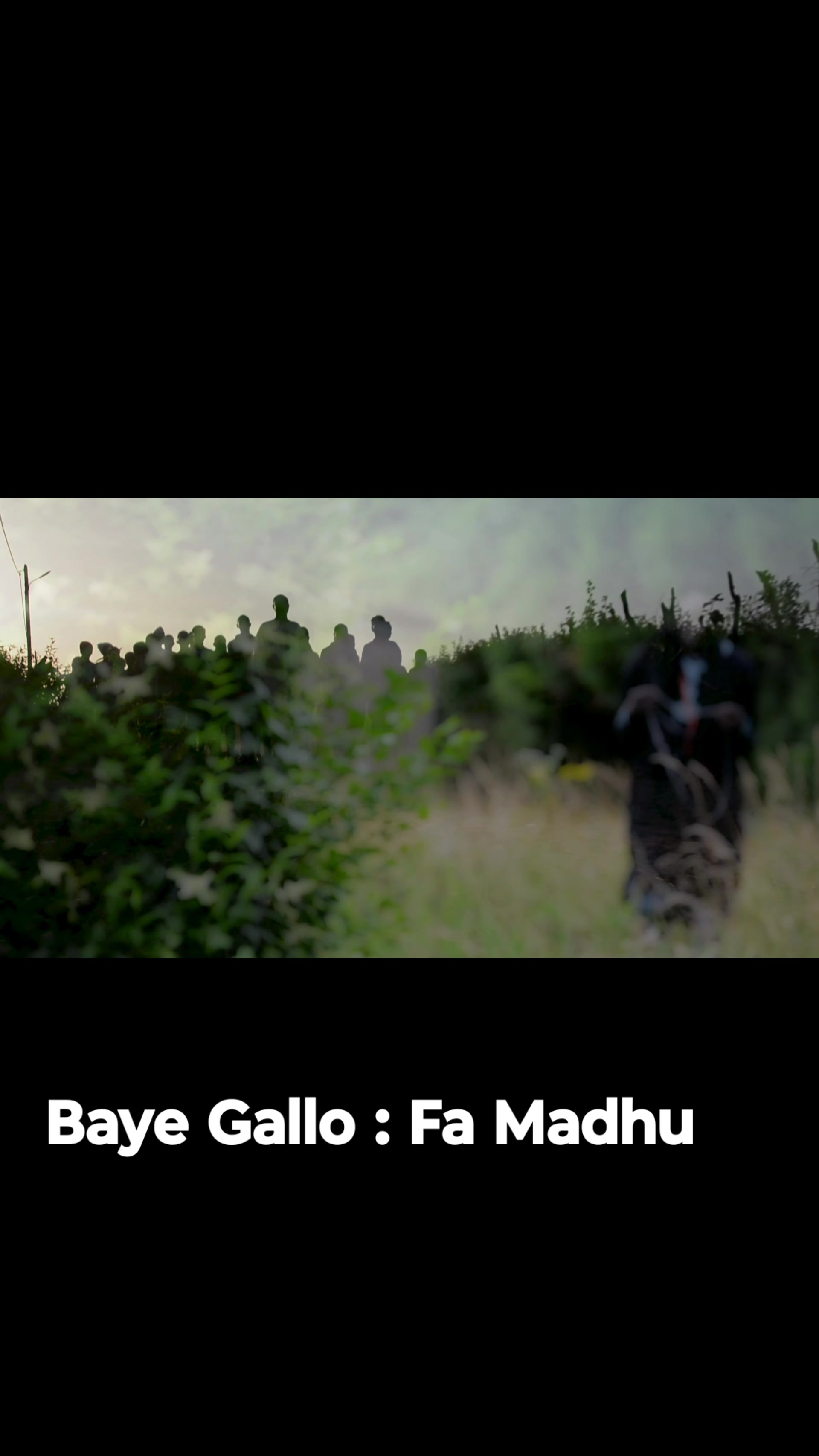 @Baye Gallo