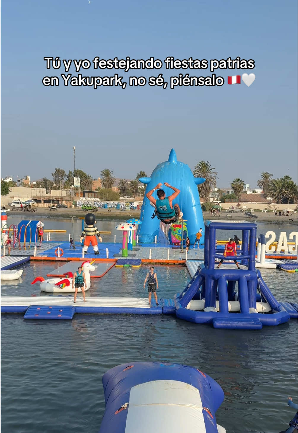 @Yakupark Paracas