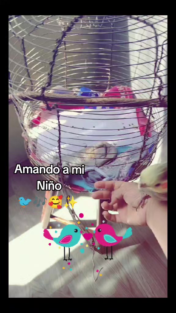 @✨🍀Gabycita🙋🏽♀️🍀✨