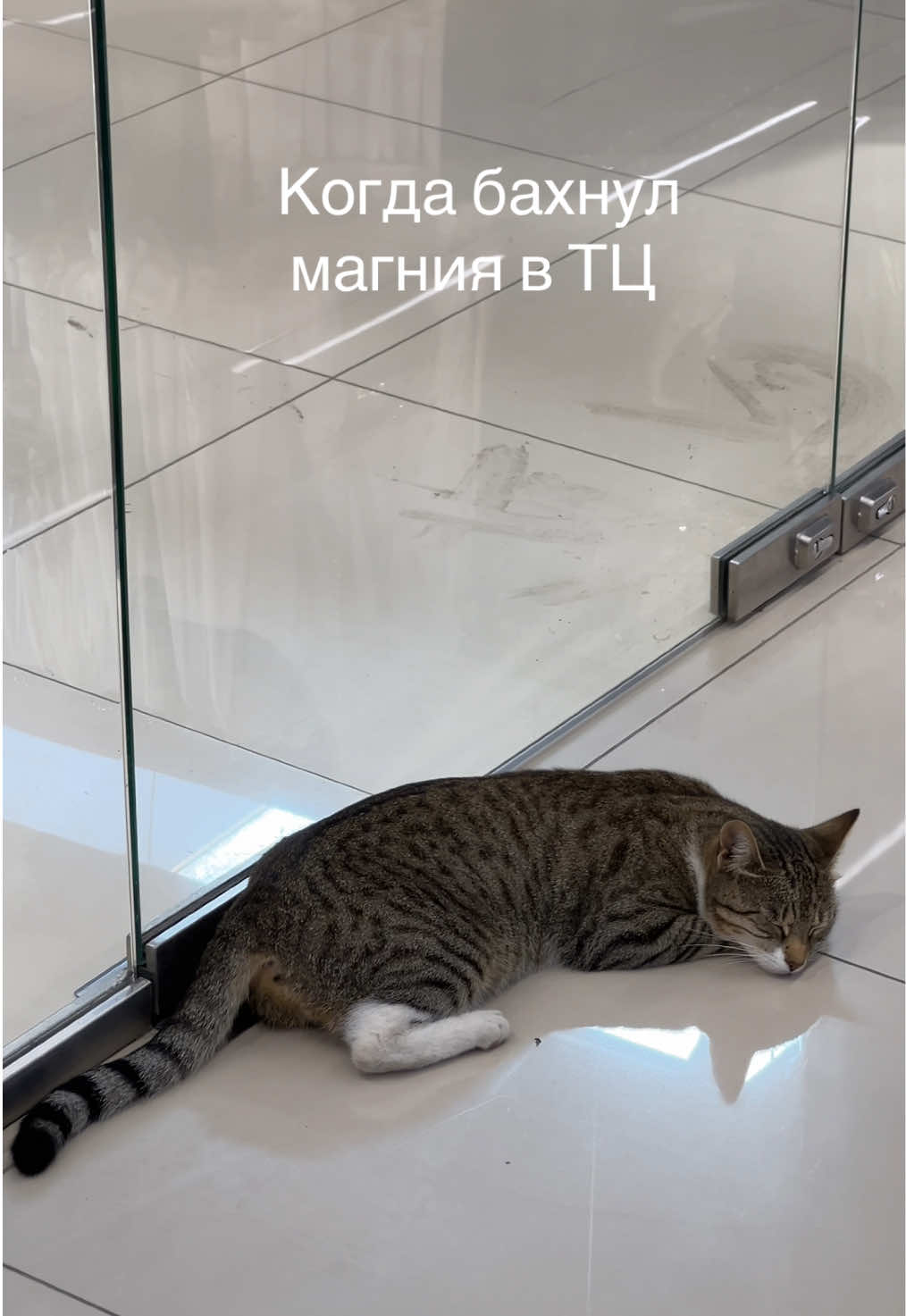 @дима яндекс&reg;️