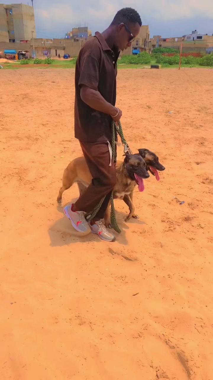 @G.I.C.N 🇸🇳🐾Maître Weuz🐕🦺
