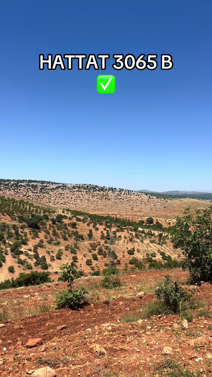 @Iboş Kılınç