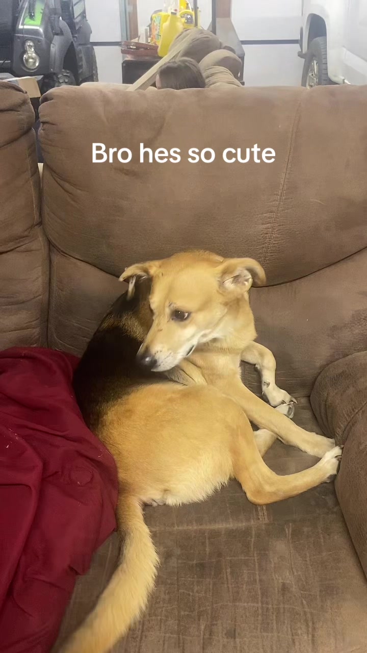 @gamerboy1233