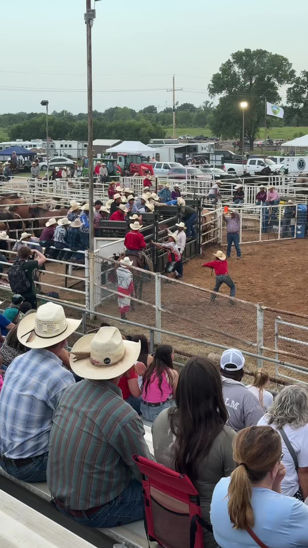 @The Cow Dude