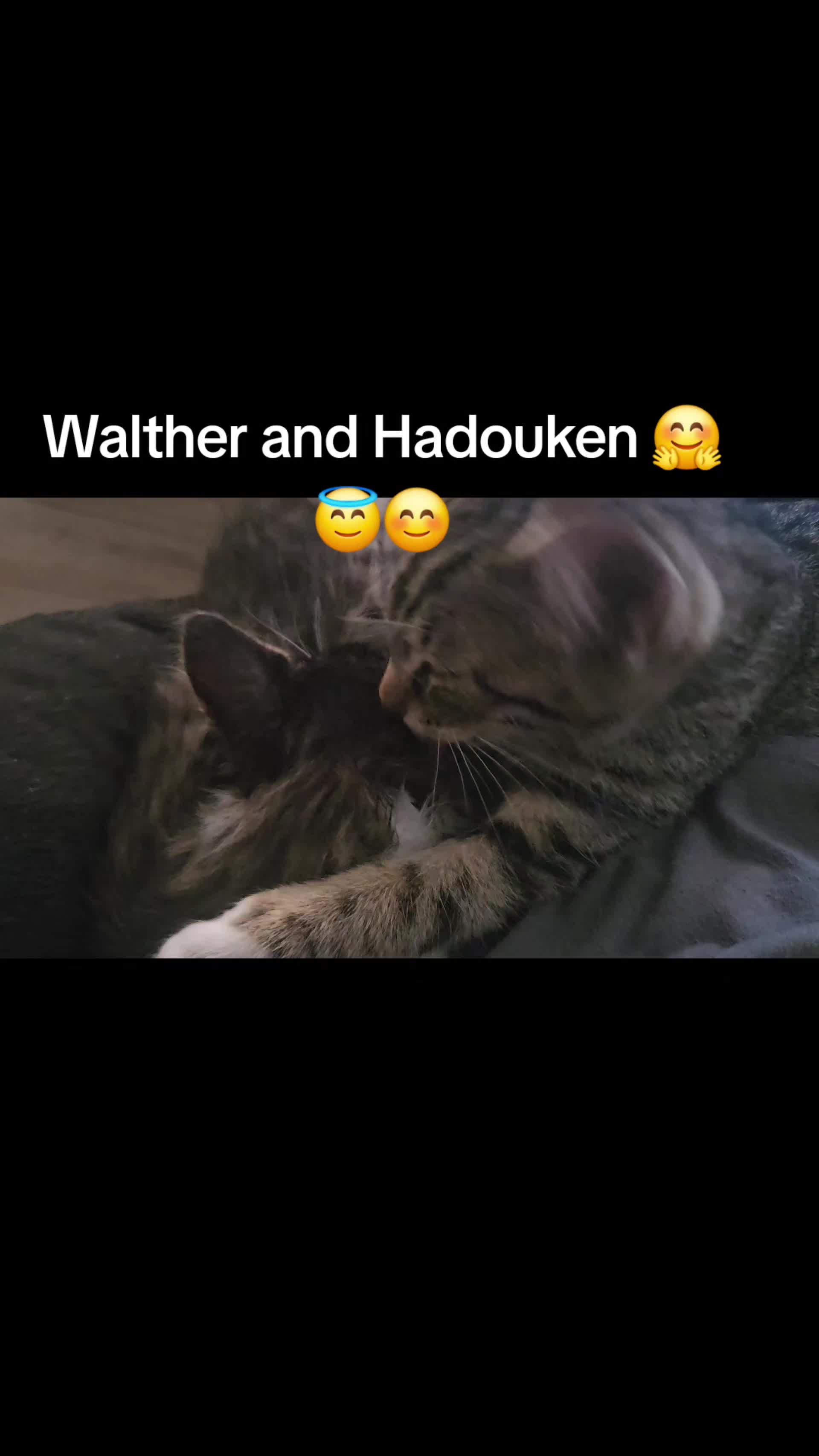 @dustinmatthews751