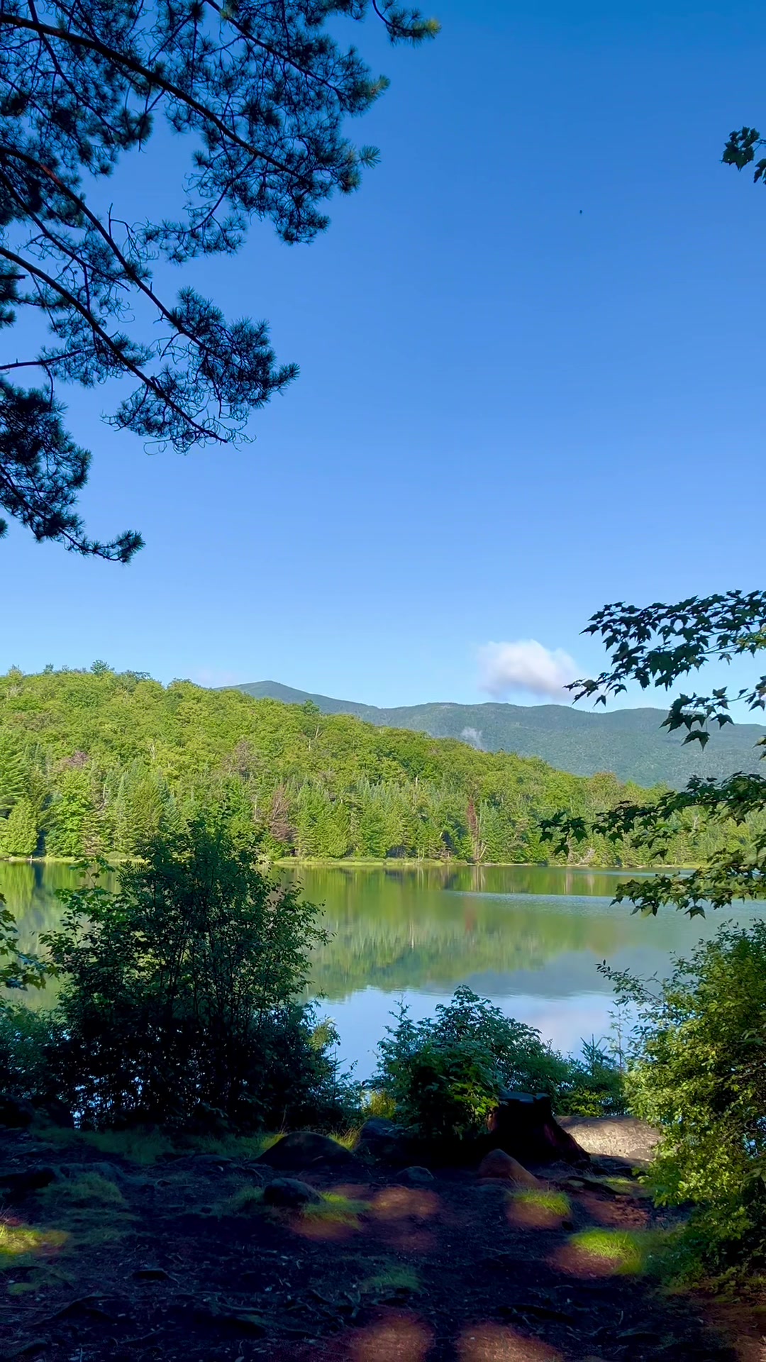 @Wild Adirondacks
