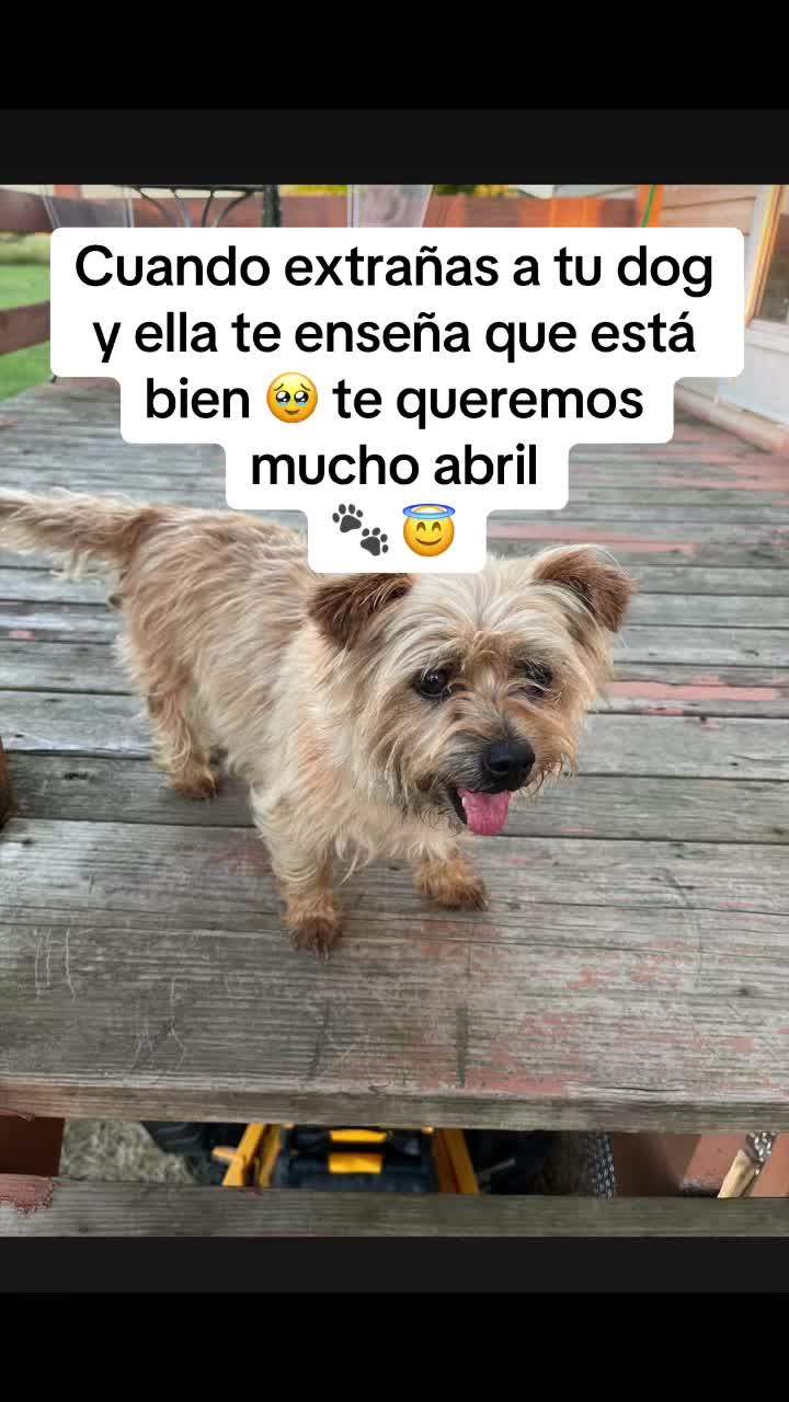 @da_og_teresita