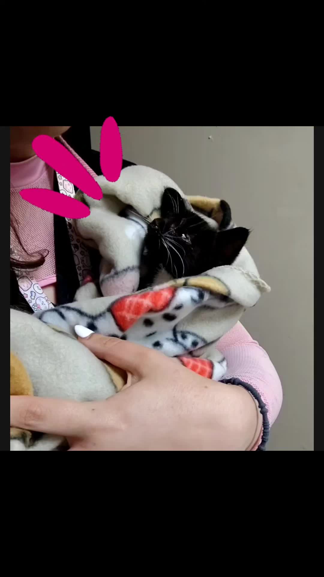 @BounceBunny