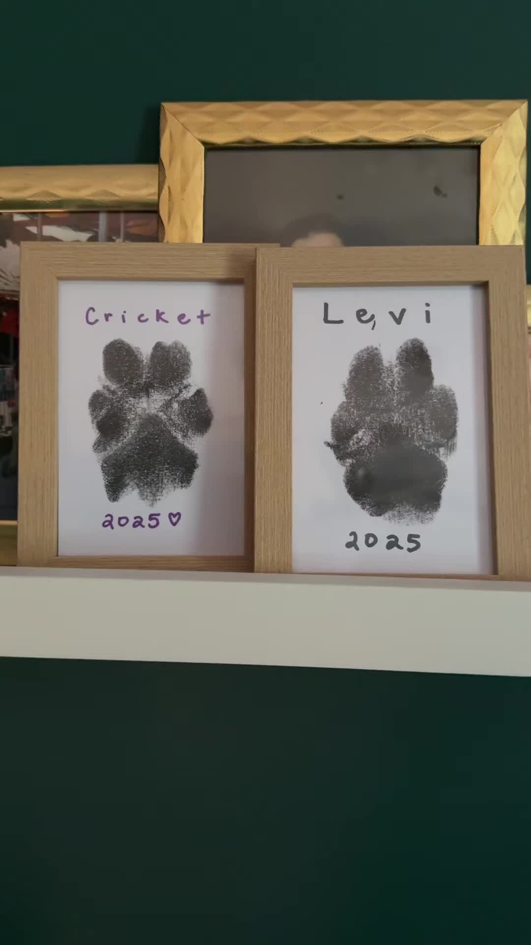 @Chelsea | Dog & Toddler Mom