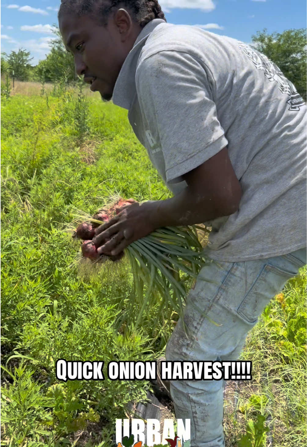 @Urban Dallas Farm