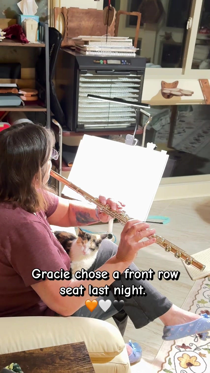 @Gracie’s Circling Paws