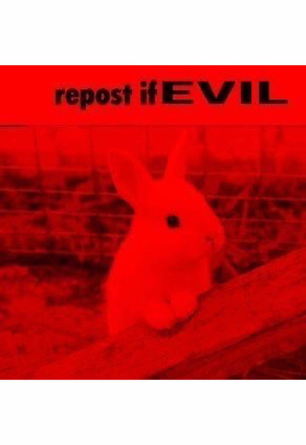 @R🦇🧁🧟♀️👀