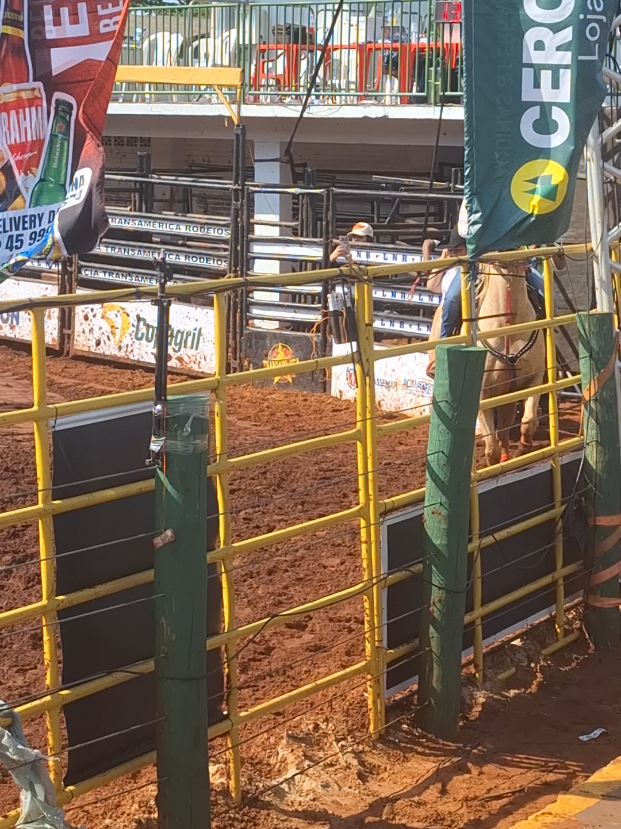 @rodeo