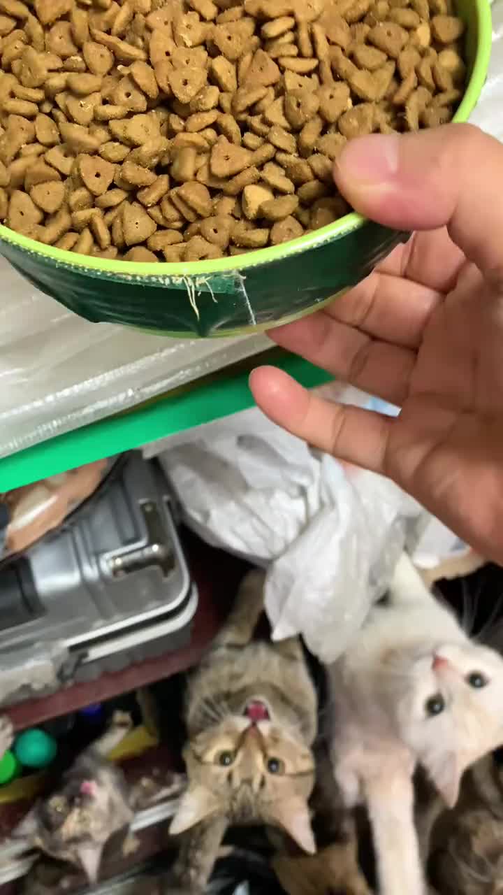 @ariatk