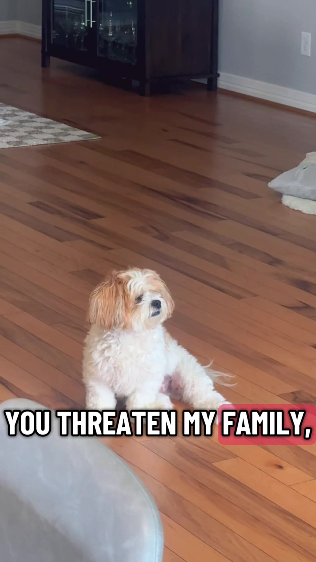 @Bear & Pearl 🐶 🐕&zwj;🦺