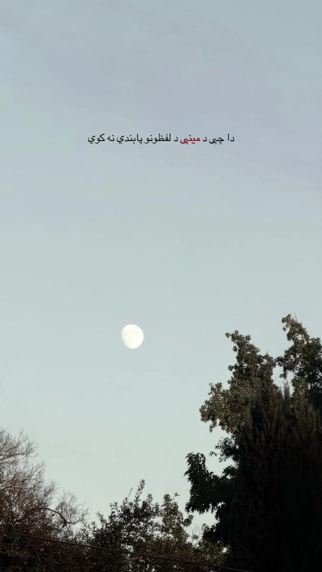 @ɴᴀᴢᴇᴇʀ ོ