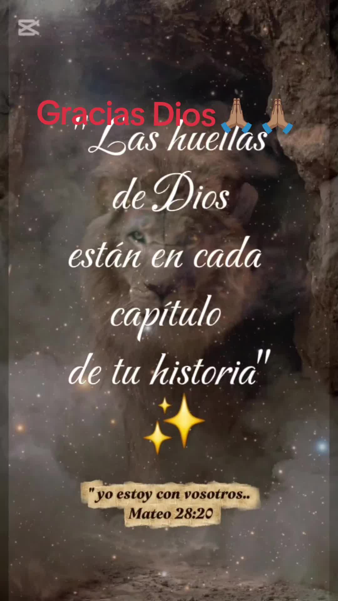 @leydisfinds